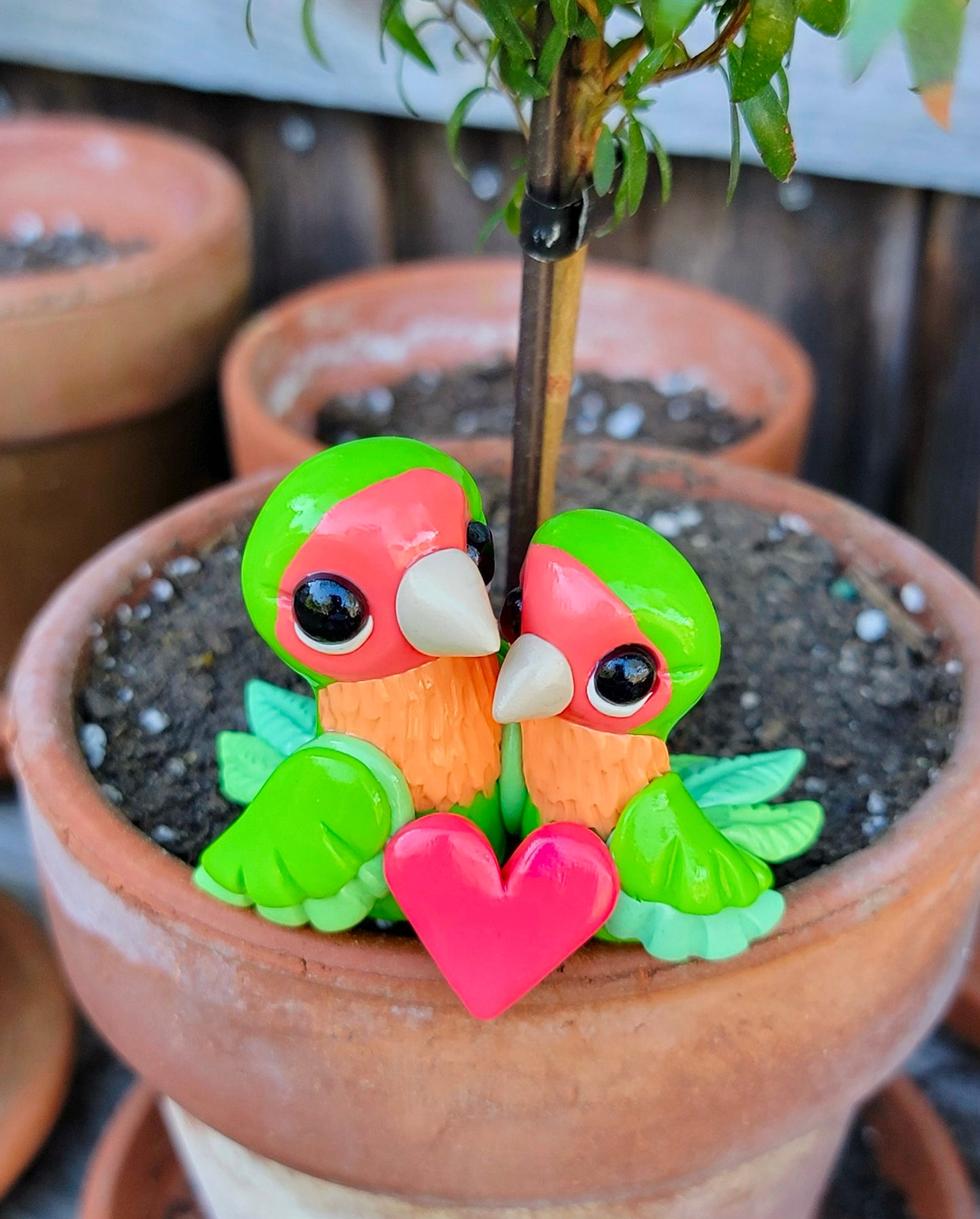 Lovebird Pair