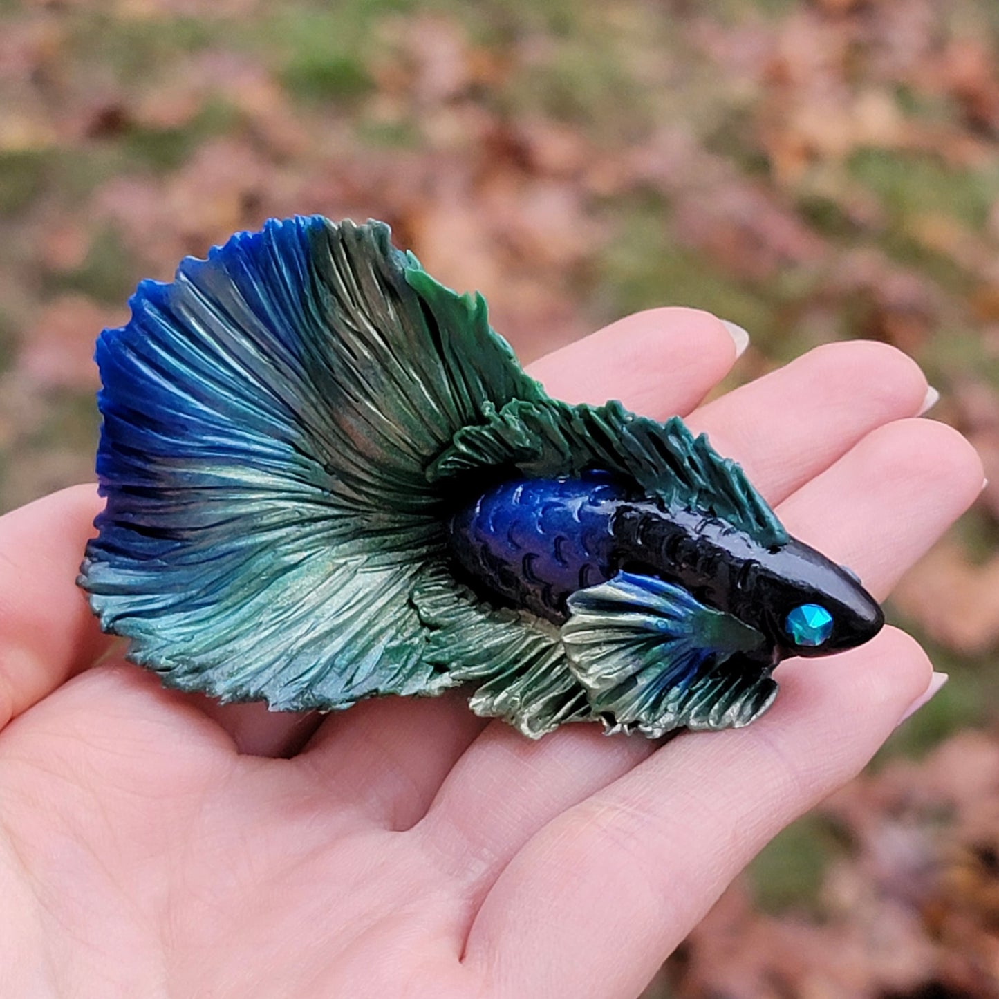 Tropical Blue Gold Betta “Calypso”